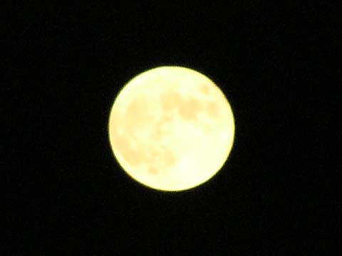 moon.jpg 480×360 33K